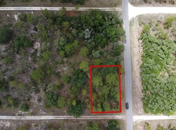 NE 152nd Ct, Williston, FL 32696