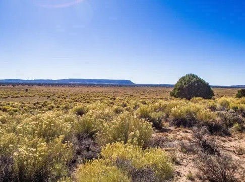 Pinehill, NM 87357