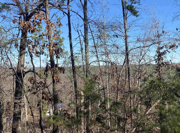 924 Quail Way, Dolph, AR 72531