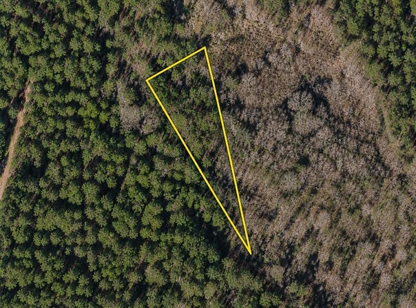 Gibson Rd., Greeleyville, SC 29056