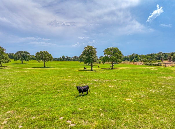 Tract 3 Three Quarter Loop, Poolville, TX 76487