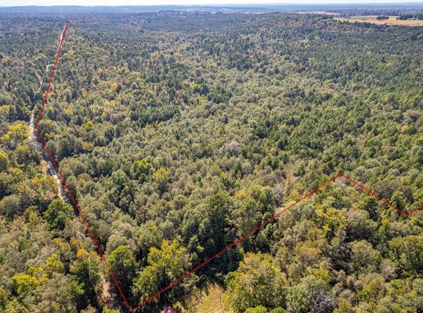 County Rd 359, Winona, TX 75792