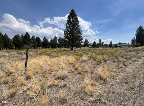 Shoreview Drive, Chiloquin, OR 97624