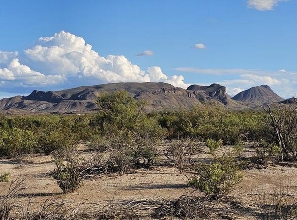 403 Este Rd, Terlingua, TX 79852