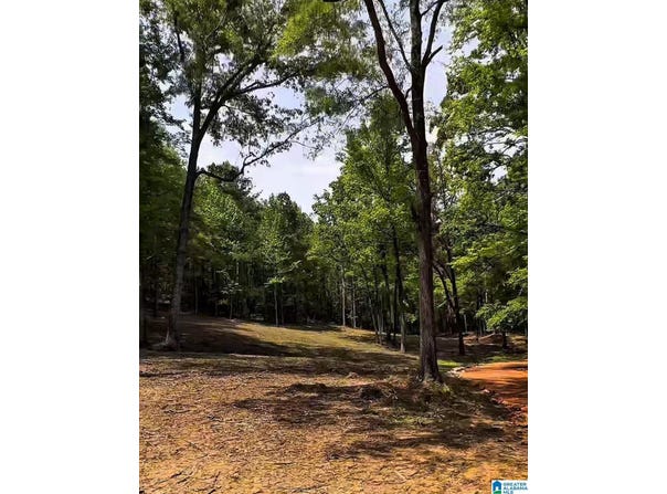 377 MAGNOLIA LANE lot: 1, VANDIVER, AL 35176