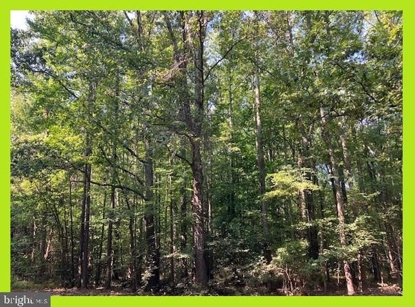 SKYVIEW Drive, BUSHWOOD, MD 20618