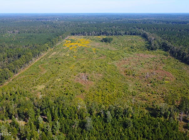 River Bend Road, Columbia, MS 39429