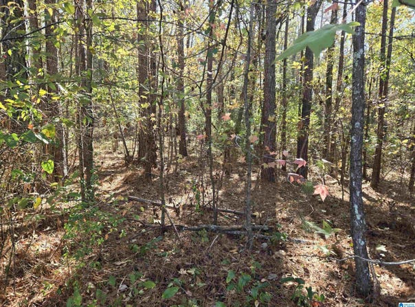 MAYNOR LANE lot: 21, ONEONTA, AL 35121
