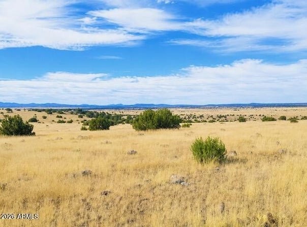 Arapaho, Concho, AZ 85924