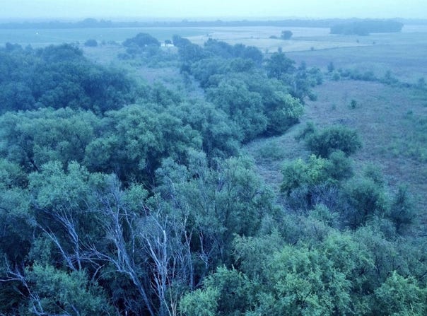 S Dean Rd, Pretty Prairie, KS 67570