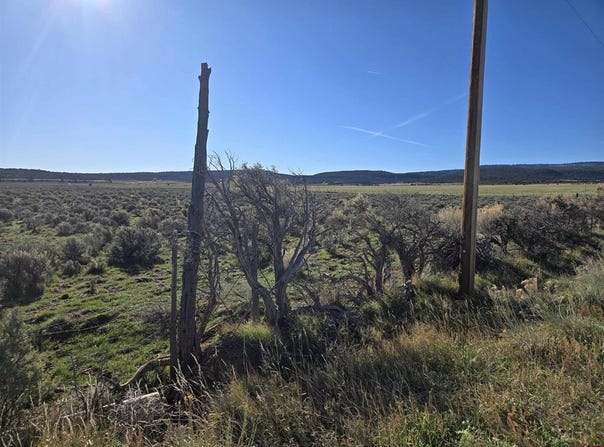 16 1/2 Road, Glade Park, CO 81523