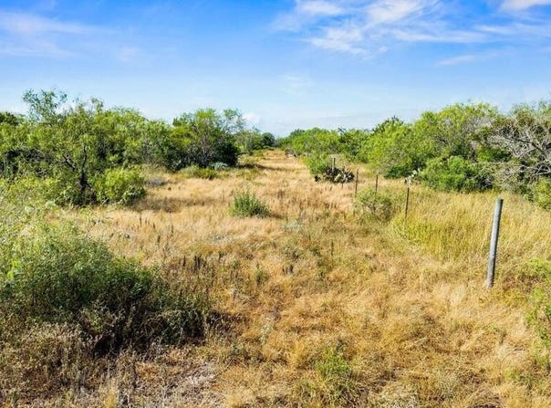 TBD LT9 Broken Ranch Trail, Alice, TX 78332