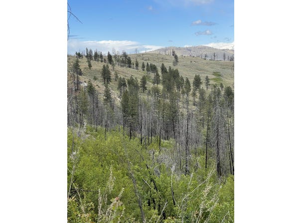 960X Knox Rd, Riverside, WA 98849