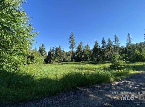 Buckboard Lane, Waha, ID 83501