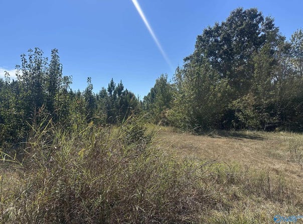 8837 Highway 72 N, Madison, AL 35758