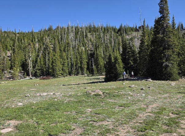 39 S Quill Rd, Brian Head, UT 84719