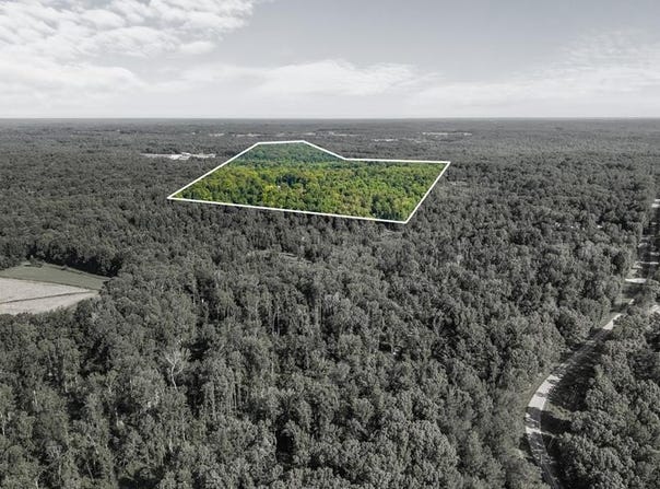 Hamilton Rd TR # 1, SPRINGVILLE, TN 38256