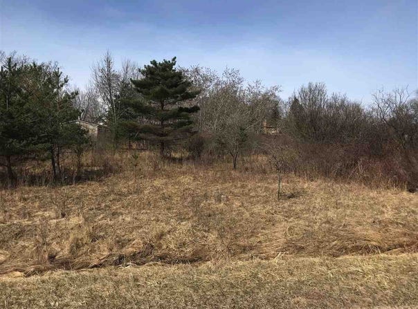 291 TRACK IRON Trail, Gladwin, MI 48624