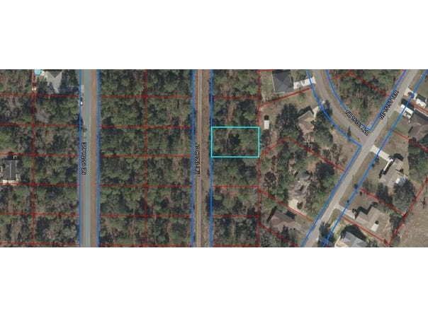 NE 150th Court lot: 20, Williston, FL 32696