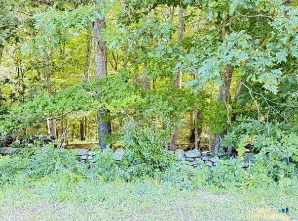 Beaver Dam Road, Killingworth, CT 06419