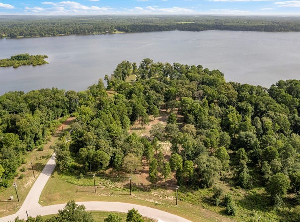 3168 Shadow Pine Drive, Larue, TX 75770