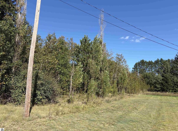Ash Street, Lupton, MI 48635