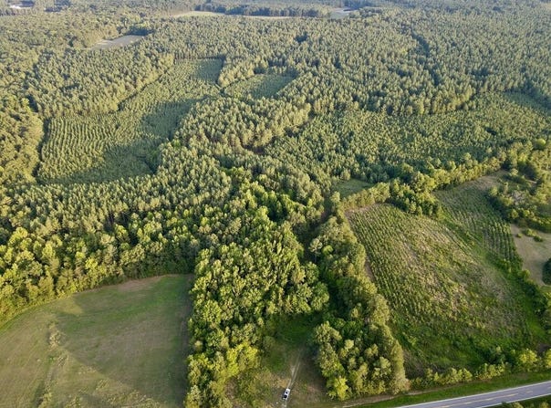 240 ac Highway 49 S, Nelson, VA 24580