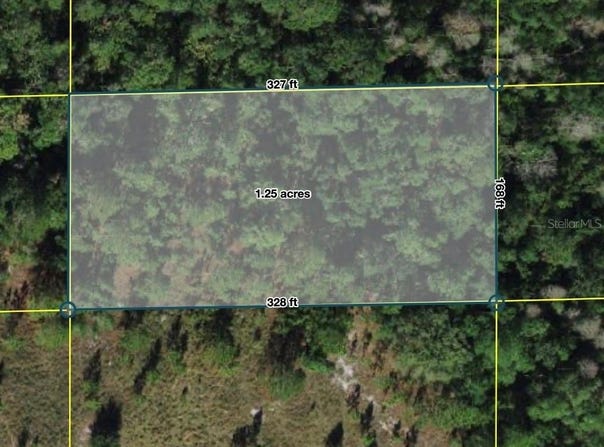 POLK CITY, POLK CITY, FL 33868