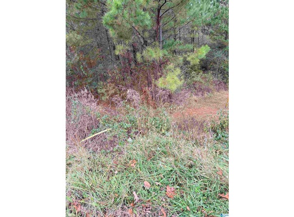 ARMSTRONG LOOP lot: 0, HAYDEN, AL 35079