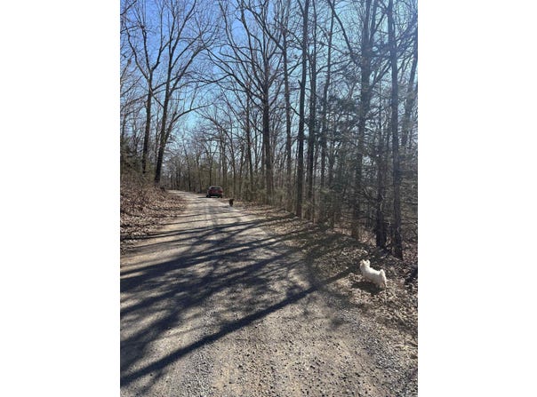 fawn Road, Harriet, AR 72639-9998