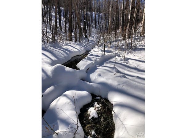 Houchin Blvd, La Veta, CO 81055
