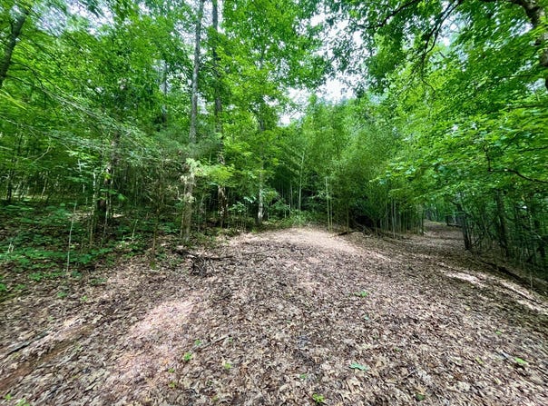 1317 Sunhill Road, Birmingham, AL 35215