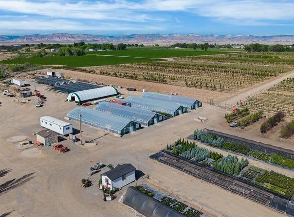 1702 10 Road, Mack, CO 81525