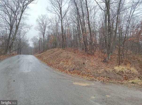 77 ALAMO Lane, FALLING WATERS, WV 25419