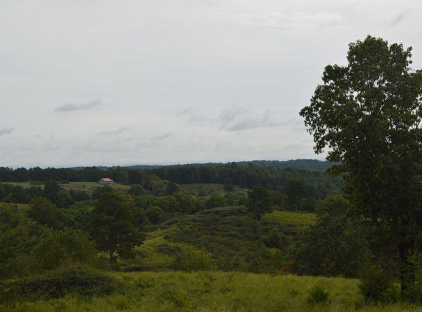 Cozahome RD, Harriet, AR 72639