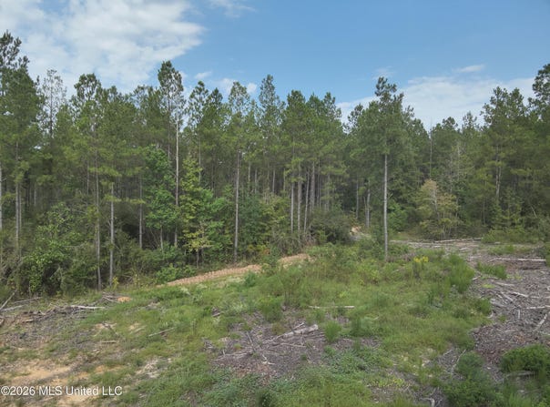 769 Ms-43, Oak Vale, MS 39656