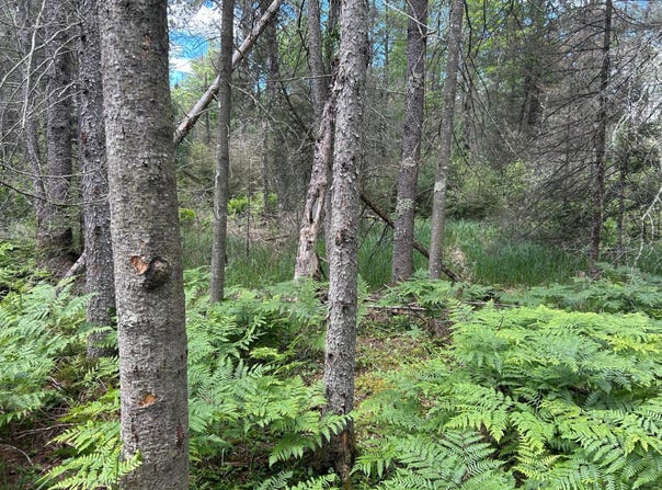 MELODY DR lot: Off, St Germain, WI 54558