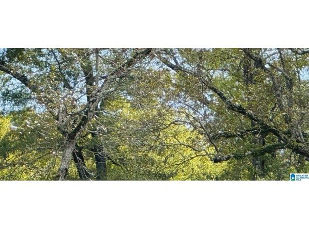 258 PARKVIEW DRIVE lot: 36, SYLVAN SPRINGS, AL 35118