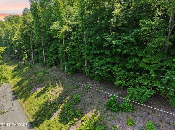 Yoakum Hollow Rd, Jacksboro, TN 37757