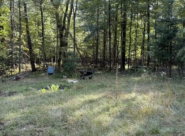 V/L Timber Trail, Prescott, MI 48756