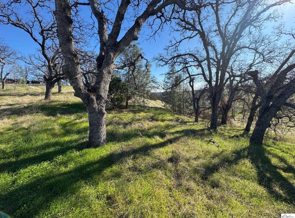 16495 Hillcrest Road, Corning, CA 96021