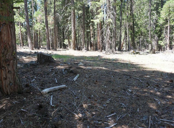 1 Papoose Trail, Graeagle, CA 96103