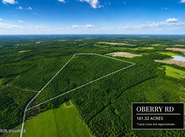 Oberry Road, Millwood, GA 31552