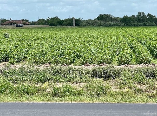 Military Road, Progreso, TX 78579