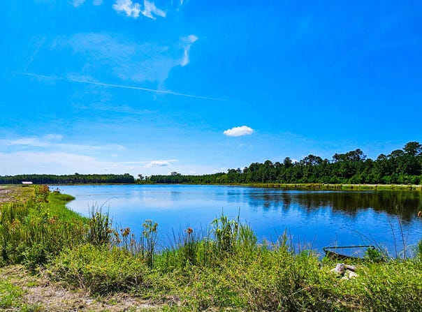 565 Hidden Lake Retreat, Walterboro, SC 29488