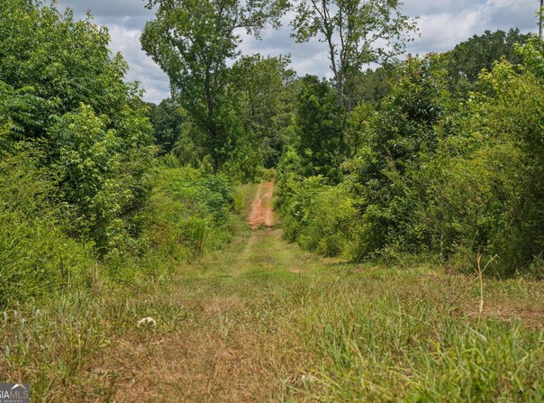 47 Askin Place, Culloden, GA 31016