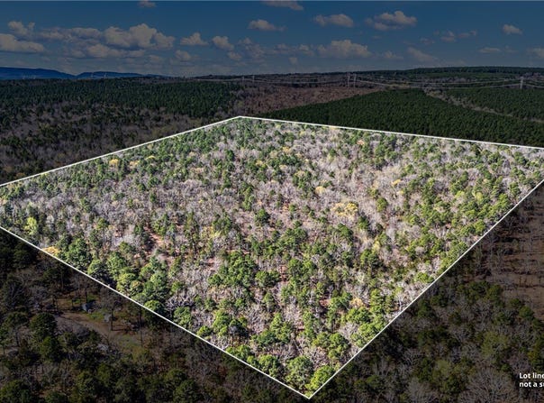 RIVERSIDE Road lot: 0, Delaware, AR 72835