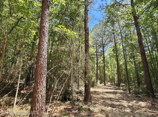 Mcnair Springs Road, Magee, MS 39111
