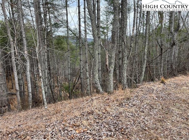 no # Edna Perry Road, Crumpler, NC 28617