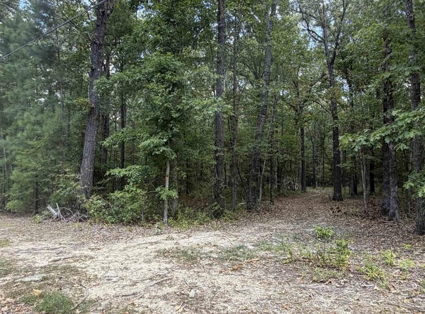 10200 Grant 75, Sheridan, AR 72150